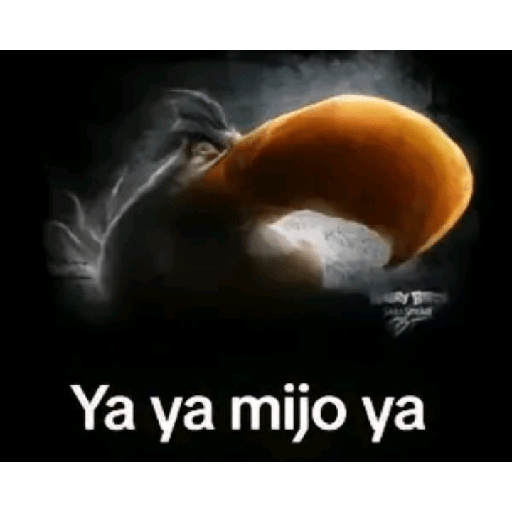 Yayamijoya  6