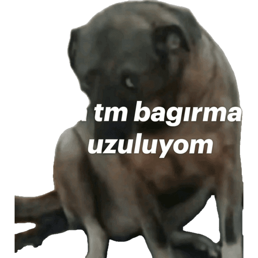Çıkartmalarım 26