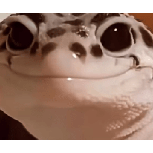 Ali 4