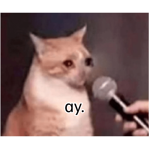 Ali 5