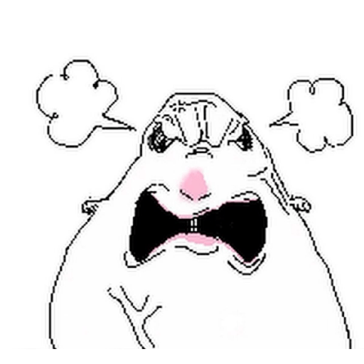 Hamsters 4