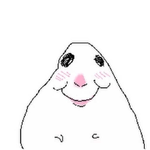 Hamsters 5