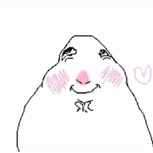 Hamsters 6