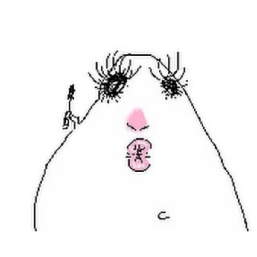 Hamsters 14