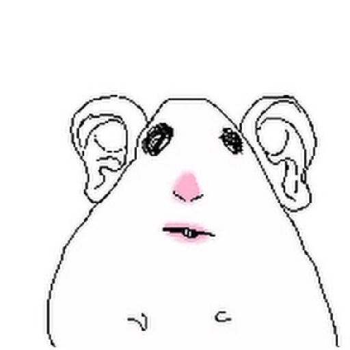 Hamsters 19