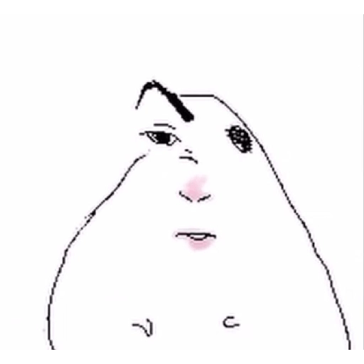 Hamsters 21