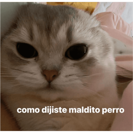 Mis pegatinas 28