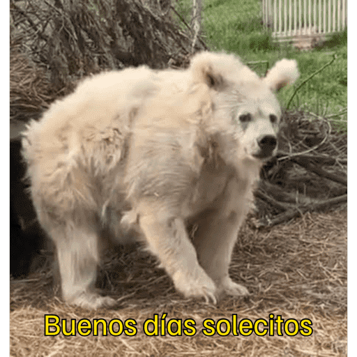 Mis pegatinas 30