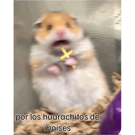 Mis pegatinas 25