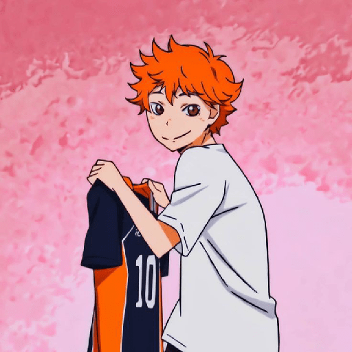 𖥻🎀. hinata shoyou