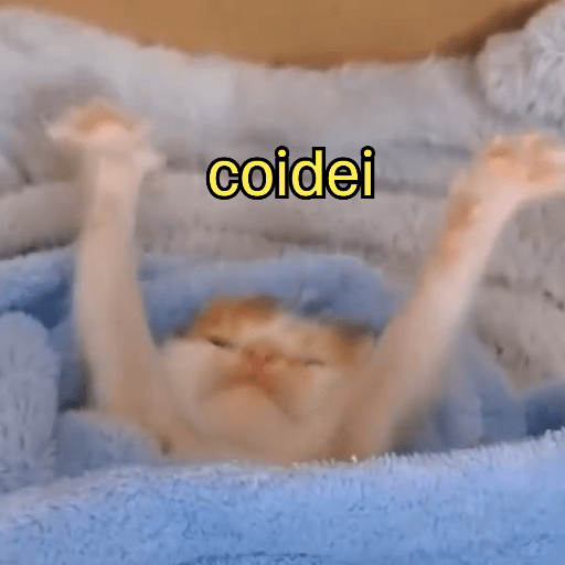 Gatinhoinhos 🐱 1 28