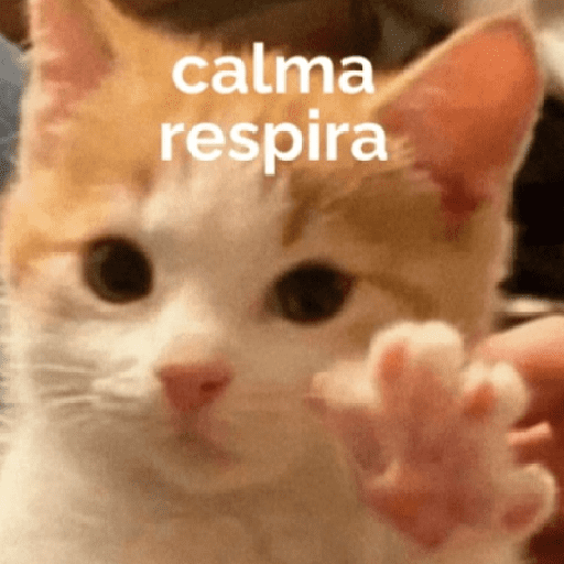Gatinhoinhos 🐱 1 10