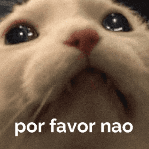 Gatinhoinhos 🐱 1 9
