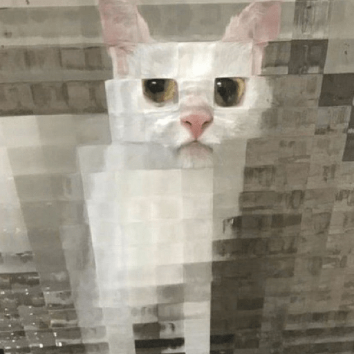 Gatinhoinhos 🐱 1 22