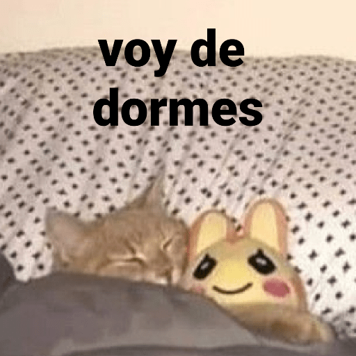 Gatinhoinhos 🐱 1 27