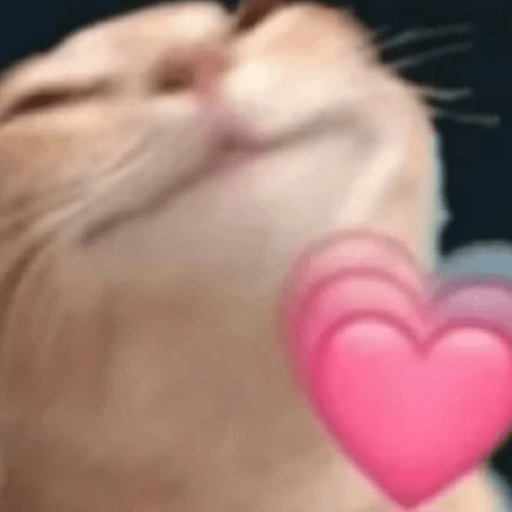 Gatinhoinhos 🐱 1 23