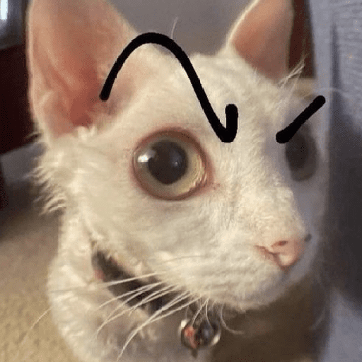 Gatinhoinhos 🐱 1 17