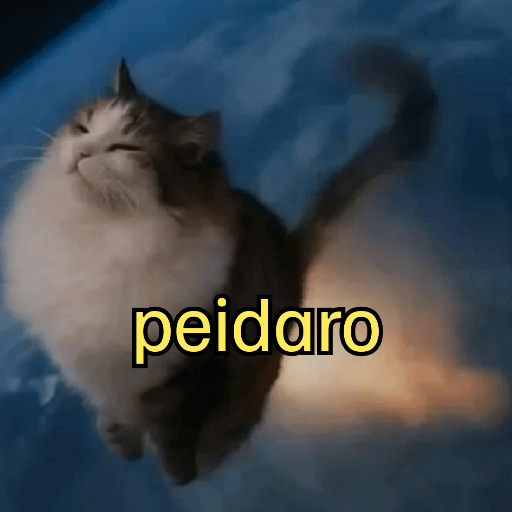 Gatinhoinhos 🐱 1 29