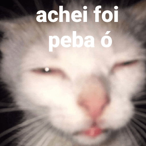 Gatinhoinhos 🐱 1 26