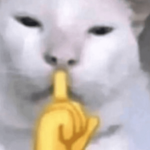 Gatinhoinhos 🐱 1 24