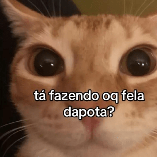 Gatinhoinhos 🐱 1 30