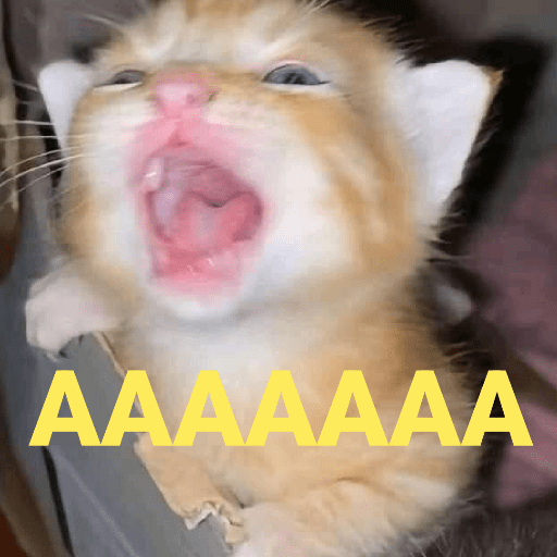 Gatinhoinhos 🐱 1 25