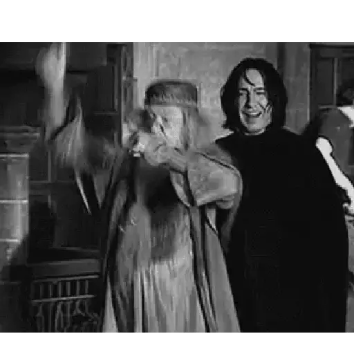 Harry Potter 16