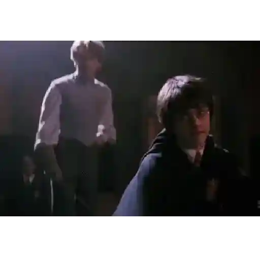 Harry Potter 15