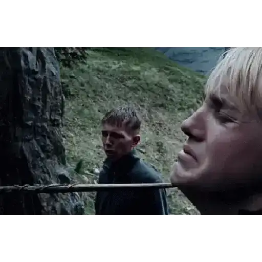 Harry Potter 14
