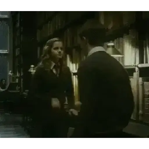 Harry Potter 13