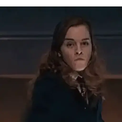 Harry Potter 11