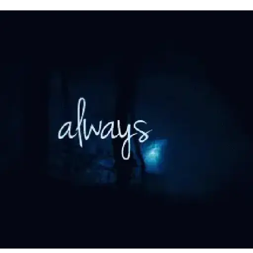 Harry Potter 24