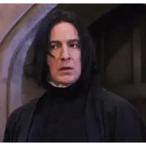 Harry Potter 23