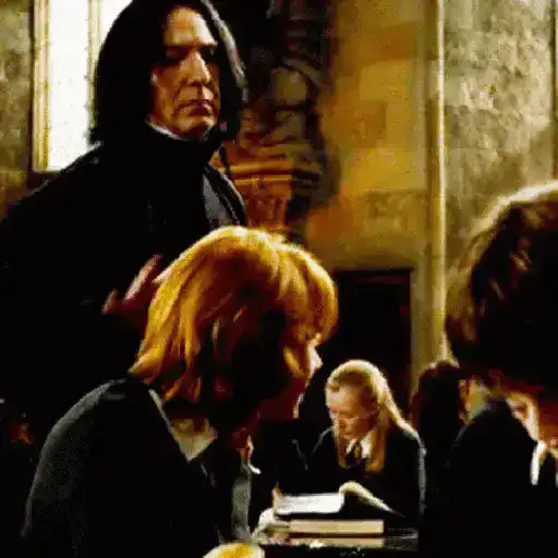 Harry Potter 22