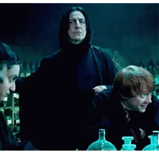 Harry Potter 21