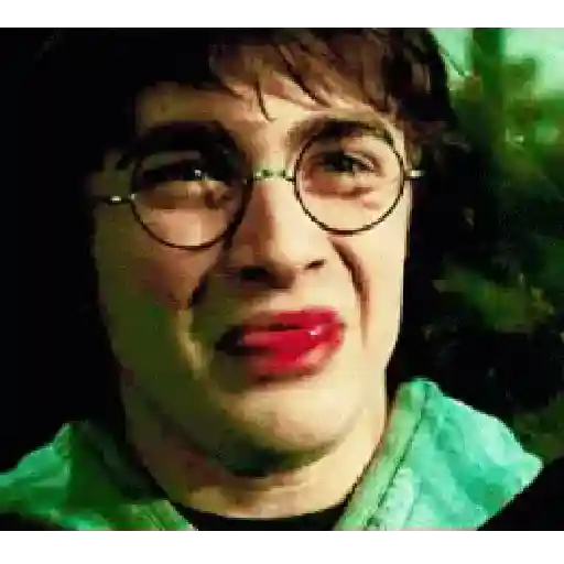 Harry Potter 20
