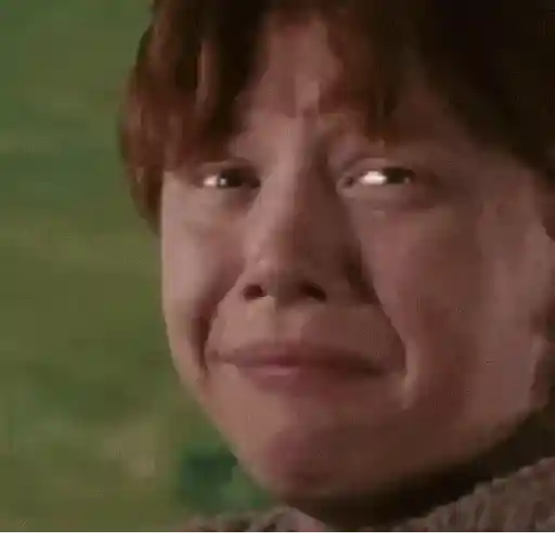 Harry Potter 19