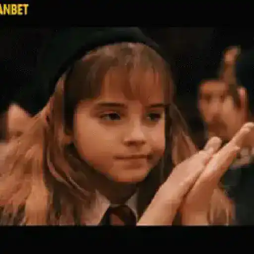 Harry Potter 17