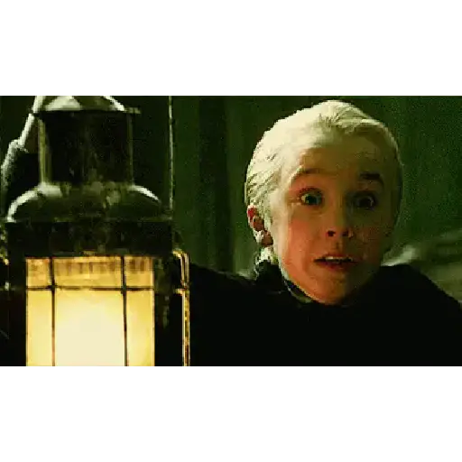 Harry Potter 8