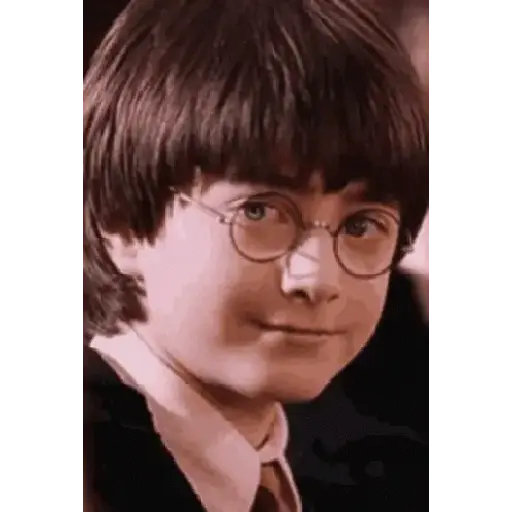 Harry Potter 10