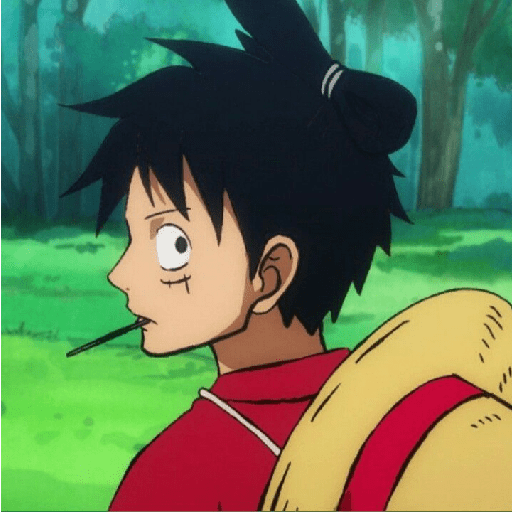 Luffy suami fumi 4