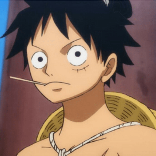 Luffy suami fumi 12