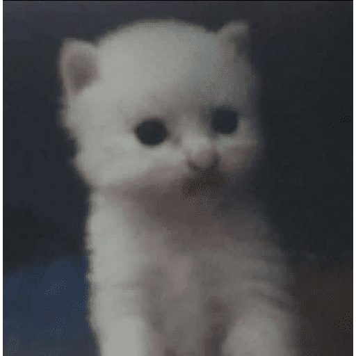 Meong 1