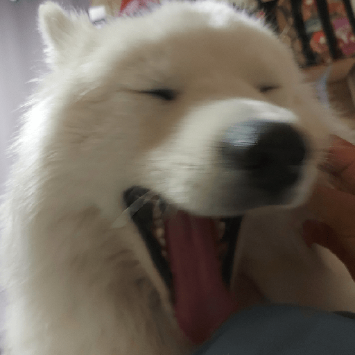 Los perritos 4