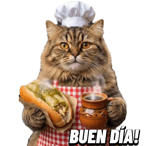 Gatitos 30