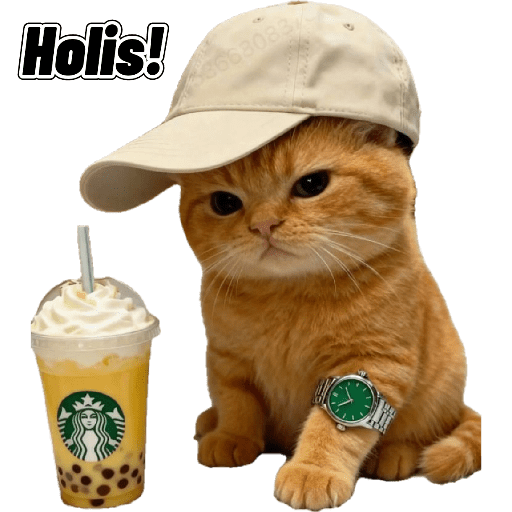 Gatitos 17