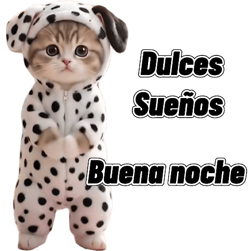 Gatitos 16
