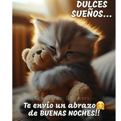 Gatitos 28