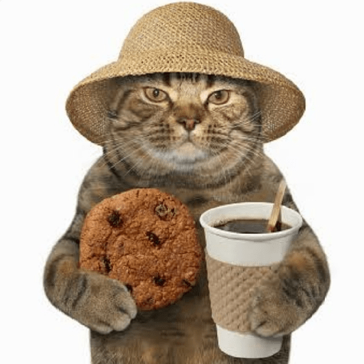 Gatitos 1