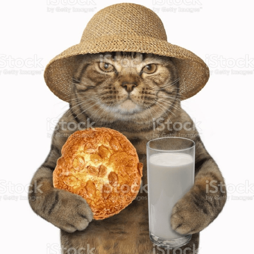 Gatitos 10